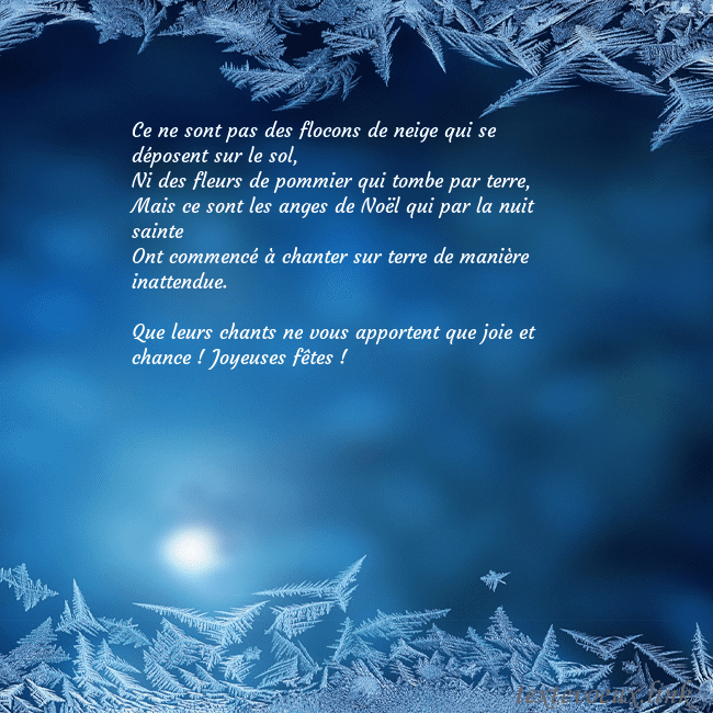 Carte de vœux avec du givre Ce ne sont pas des flocons de neige qui se déposen Carte de vœux avec du givre
