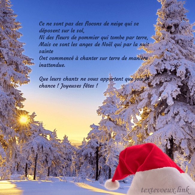Carte de vœux avec une forêt enneigée Ce ne sont pas des flocons de neige qui se déposen Carte de vœux avec une forêt enneigée