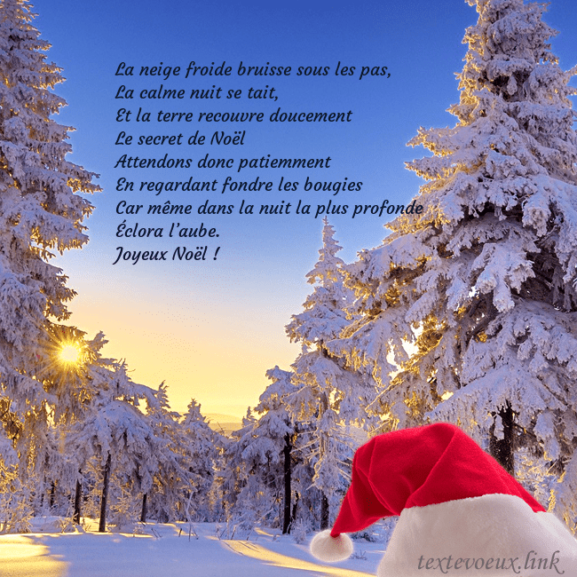 Carte de vœux avec une forêt enneigée La neige froide bruisse sous les pas,
La calme nui Carte de vœux avec une forêt enneigée