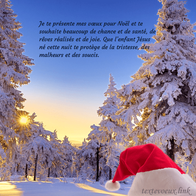 Carte de vœux avec une forêt enneigée Je te présente mes vœux pour Noël et te souhaite b Carte de vœux avec une forêt enneigée