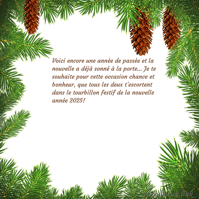 Carte postale avec des cônes d'épinette Voici encore une année de passée et la nouvelle a Carte postale avec des cônes d'épinette