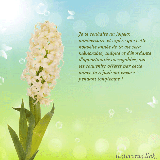 Cartes de vœux avec jacinthe