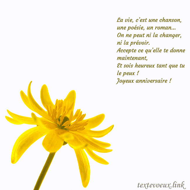 Carte de voeux avec fleur jaune