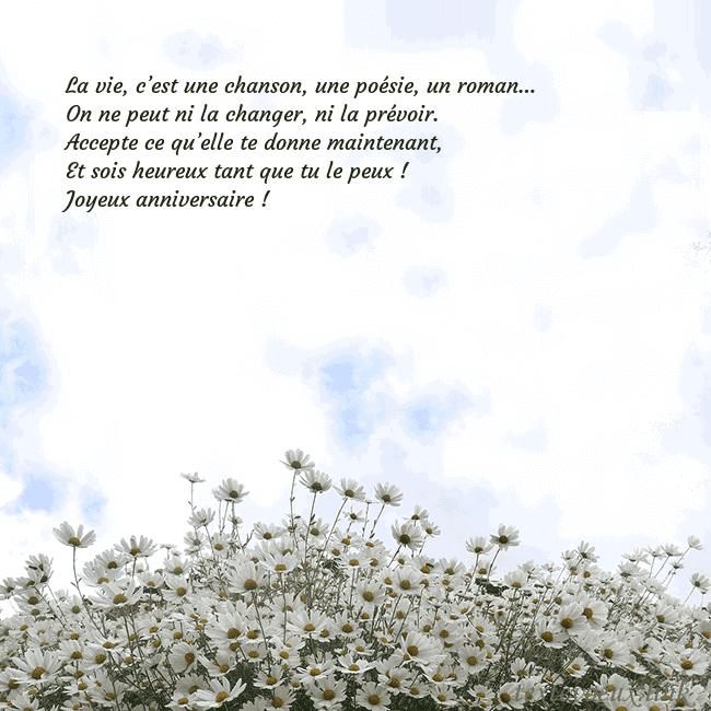 Carte de voeux avec marguerites