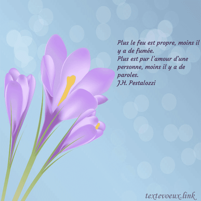 Cartes de vœux avec crocus Plus le feu est propre, moins il y a de fumée.
Plu Cartes de vœux avec crocus