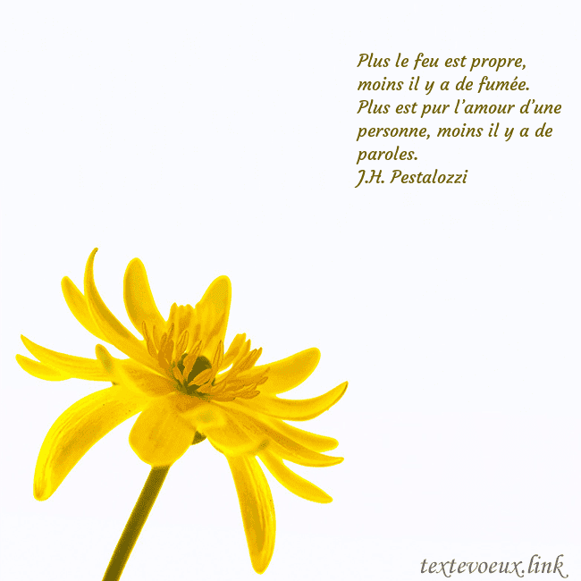 Carte de voeux avec fleur jaune Plus le feu est propre, moins il y a de fumée.
Plu Carte de voeux avec fleur jaune
