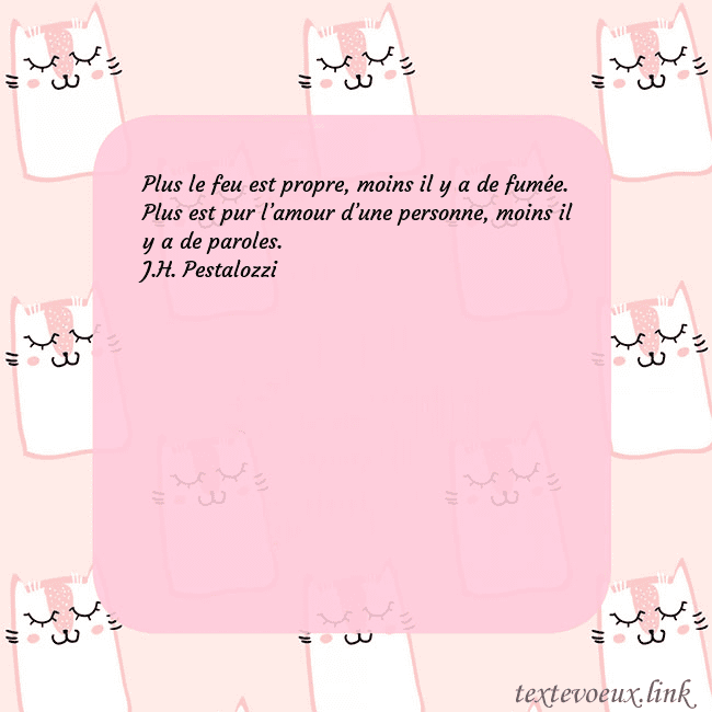 Carte de voeux rose avec des chats drôles