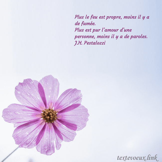 Carte électronique avec fleur violette Plus le feu est propre, moins il y a de fumée.
Plu Carte électronique avec fleur violette