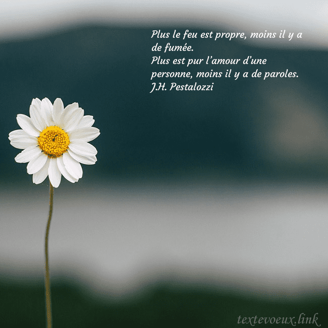E-carte avec marguerite Plus le feu est propre, moins il y a de fumée.
Plu E-carte avec marguerite