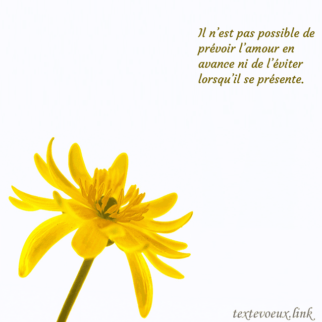 Carte de voeux avec fleur jaune