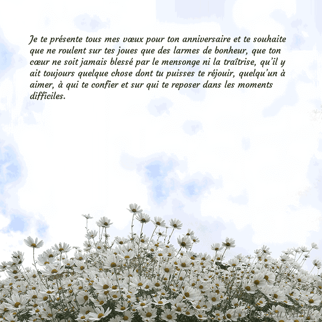 Carte de voeux avec marguerites