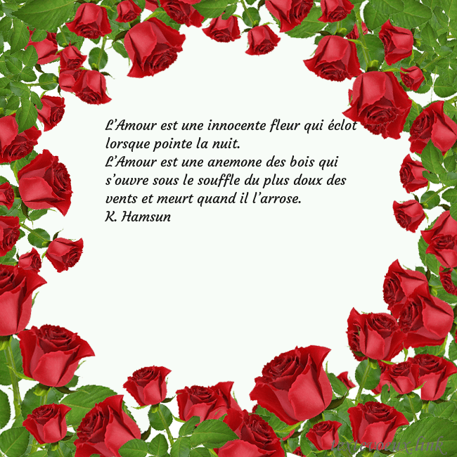 Cartes de vœux avec beaucoup de roses L’Amour est une innocente fleur qui éclot lorsque Cartes de vœux avec beaucoup de roses
