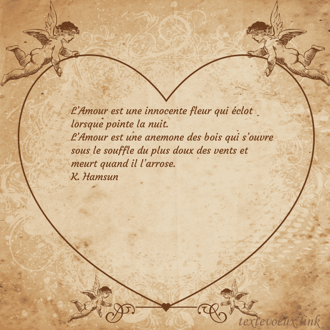 Valentinas8 L’Amour est une innocente fleur qui éclot lorsque Valentinas8
