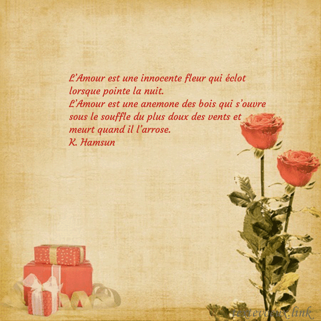 Carte de vœux avec roses et cadeaux L’Amour est une innocente fleur qui éclot lorsque Carte de vœux avec roses et cadeaux