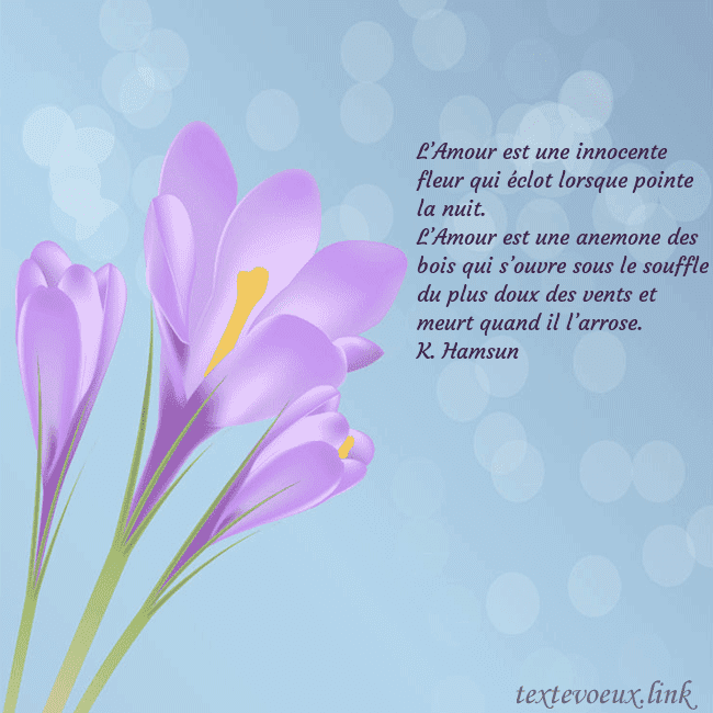 Cartes de vœux avec crocus L’Amour est une innocente fleur qui éclot lorsque Cartes de vœux avec crocus