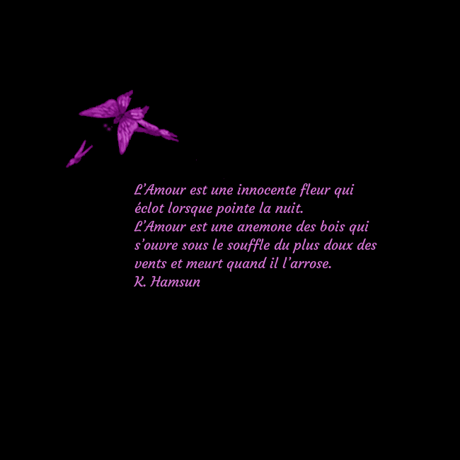 Carte de voeux avec des papillons L’Amour est une innocente fleur qui éclot lorsque Carte de voeux avec des papillons