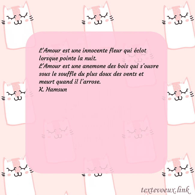 Carte de voeux rose avec des chats drôles L’Amour est une innocente fleur qui éclot lorsque Carte de voeux rose avec des chats drôles