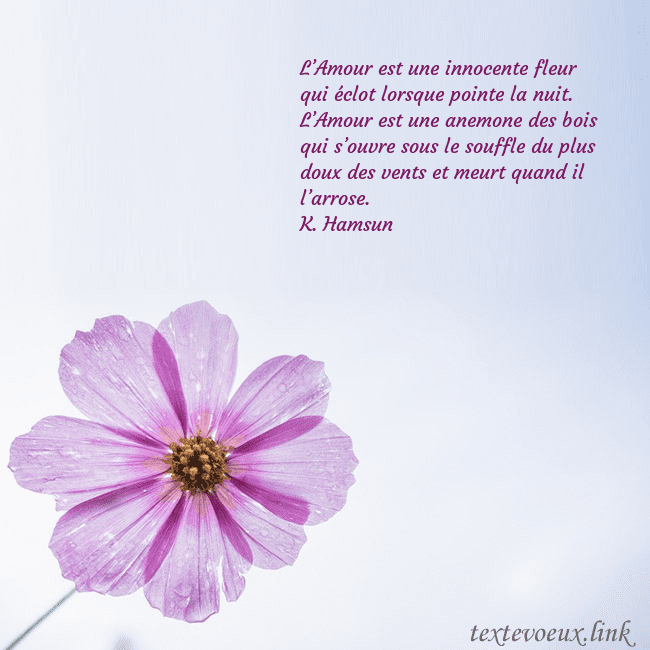 Carte électronique avec fleur violette