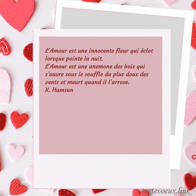 Carte animée pour la Saint-Valentin L’Amour est une innocente fleur qui éclot lorsque Carte animée pour la Saint-Valentin