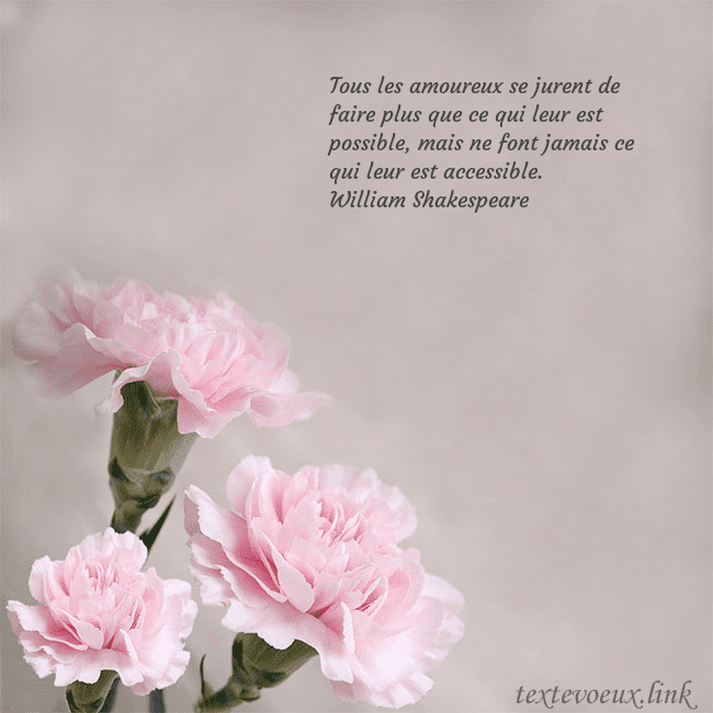 Carte de voeux avec oeillets roses Tous les amoureux se jurent de faire plus que ce q Carte de voeux avec oeillets roses