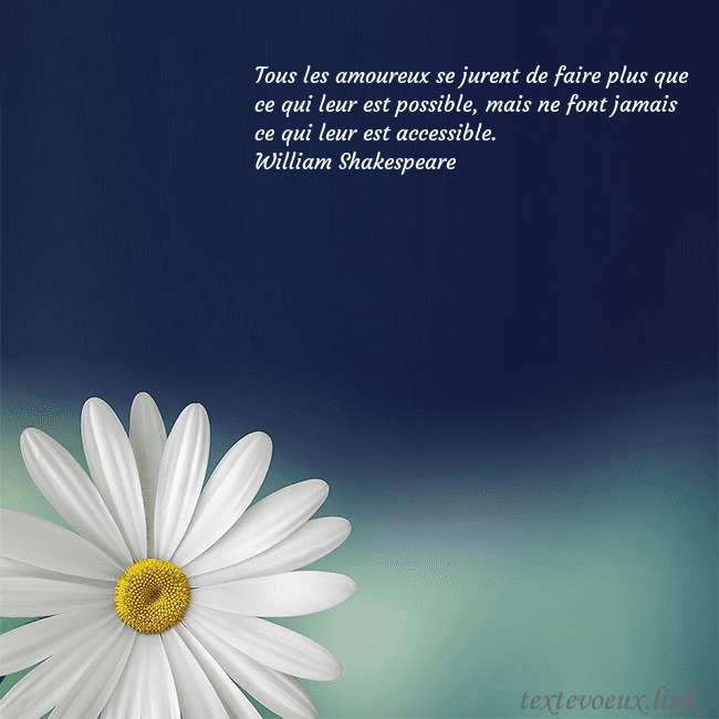 Carte postale avec une grande marguerite Tous les amoureux se jurent de faire plus que ce q Carte postale avec une grande marguerite