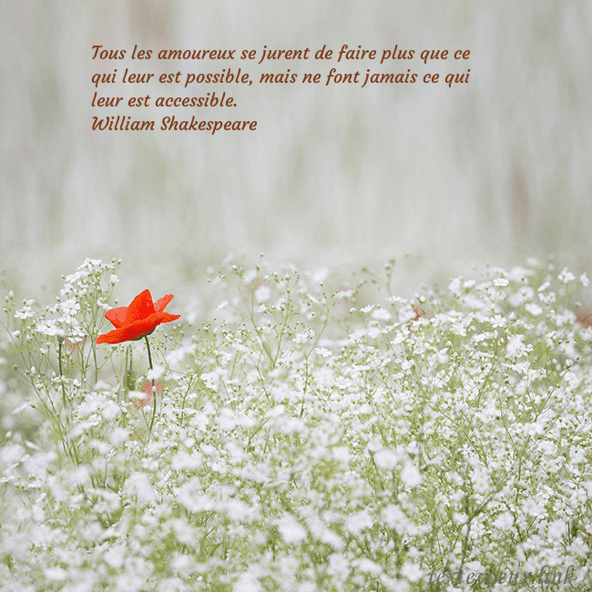 Carte électronique à fleurs blanches Tous les amoureux se jurent de faire plus que ce q Carte électronique à fleurs blanches