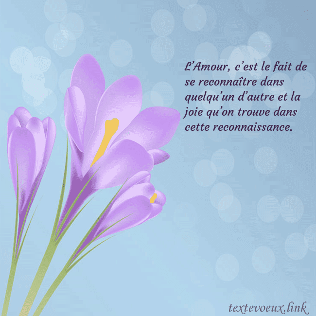 Cartes de vœux avec crocus