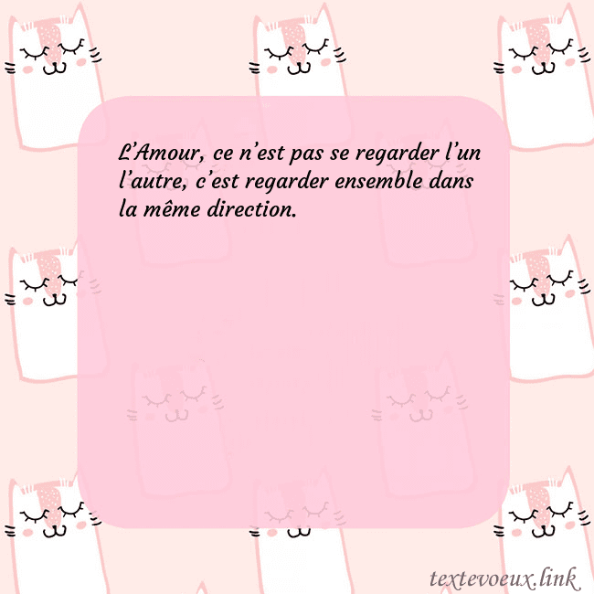 Carte de voeux rose avec des chats drôles