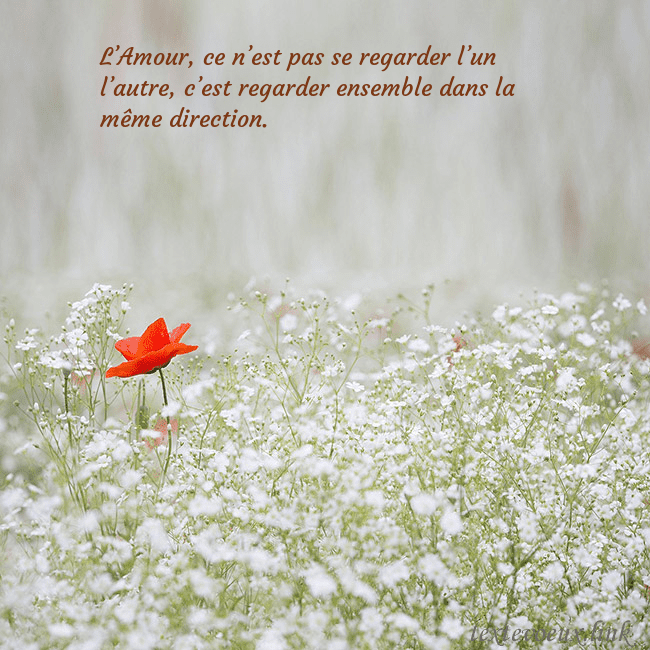 Carte électronique à fleurs blanches