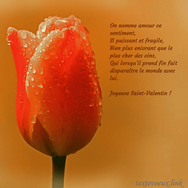 Carte de voeux avec tulipe rouge On nomme amour ce sentiment,
Si puissant et fragil Carte de voeux avec tulipe rouge