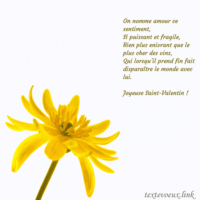 Carte de voeux avec fleur jaune On nomme amour ce sentiment,
Si puissant et fragil Carte de voeux avec fleur jaune