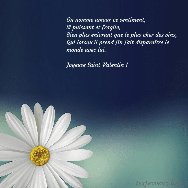 Carte postale avec une grande marguerite On nomme amour ce sentiment,
Si puissant et fragil Carte postale avec une grande marguerite