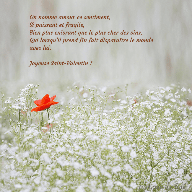 Carte électronique à fleurs blanches On nomme amour ce sentiment,
Si puissant et fragil Carte électronique à fleurs blanches