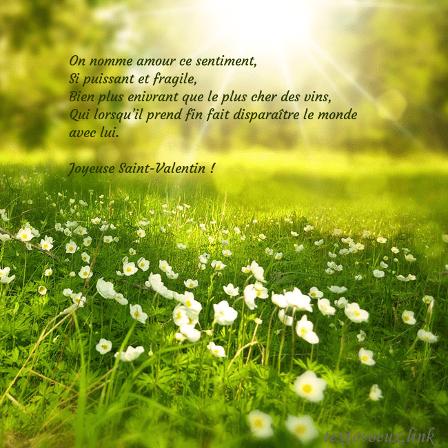 Carte électronique avec soleil et prairie On nomme amour ce sentiment,
Si puissant et fragil Carte électronique avec soleil et prairie