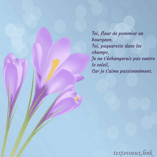 Cartes de vœux avec crocus Toi, fleur de pommier en bourgeon,
Toi, paquerette Cartes de vœux avec crocus
