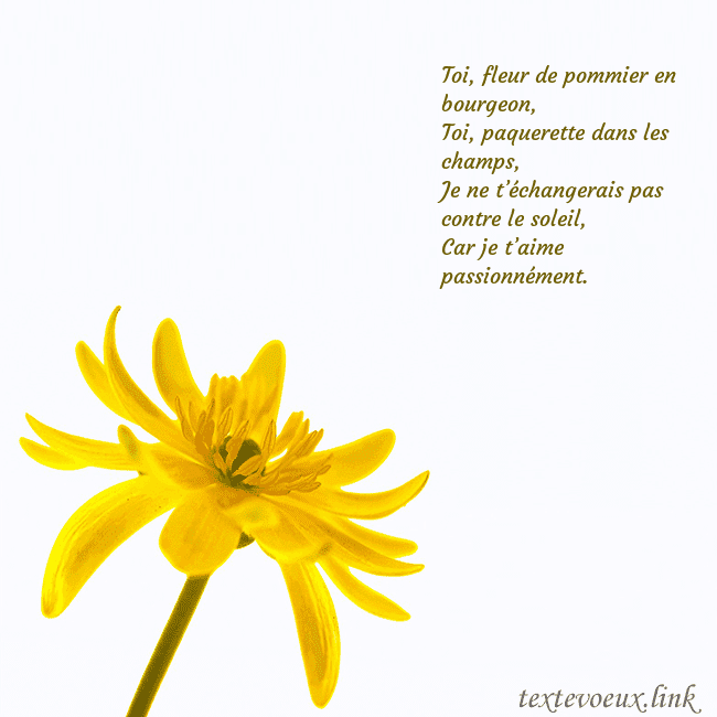 Carte de voeux avec fleur jaune Toi, fleur de pommier en bourgeon,
Toi, paquerette Carte de voeux avec fleur jaune