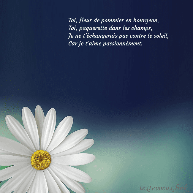 Carte postale avec une grande marguerite Toi, fleur de pommier en bourgeon,
Toi, paquerette Carte postale avec une grande marguerite