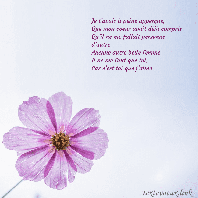 Carte électronique avec fleur violette Je t’avais à peine apperçue,
Que mon coeur avait d Carte électronique avec fleur violette