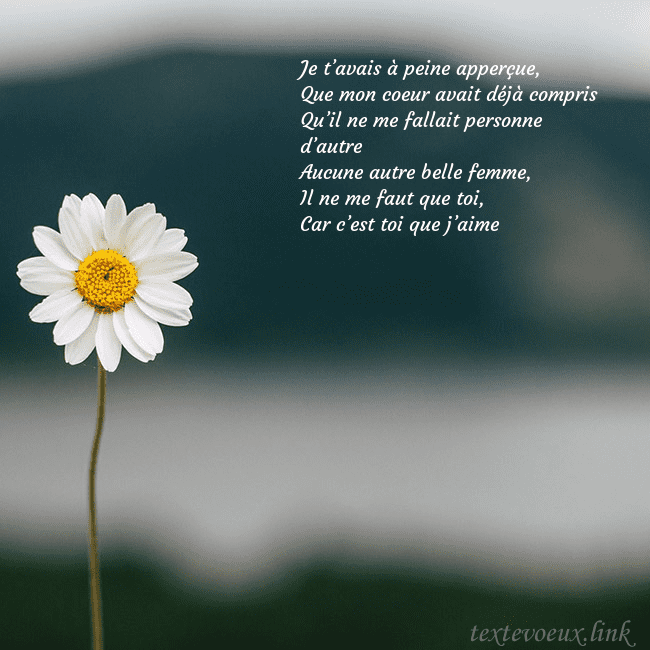 E-carte avec marguerite Je t’avais à peine apperçue,
Que mon coeur avait d E-carte avec marguerite