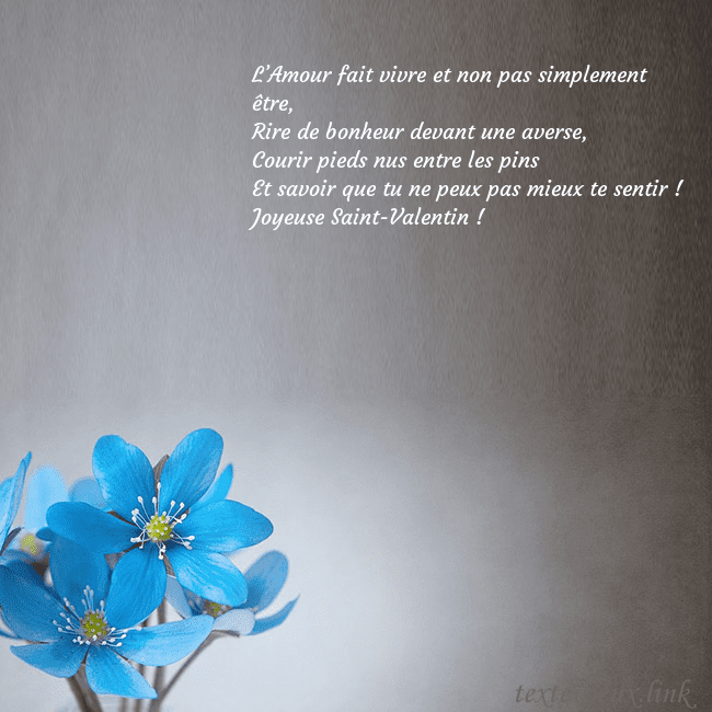 Carte postale avec violettes