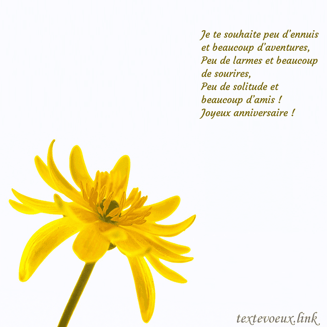 Carte de voeux avec fleur jaune