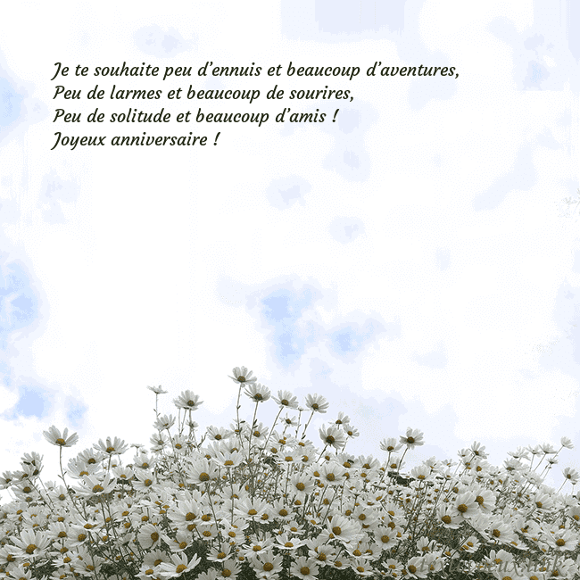 Carte de voeux avec marguerites
