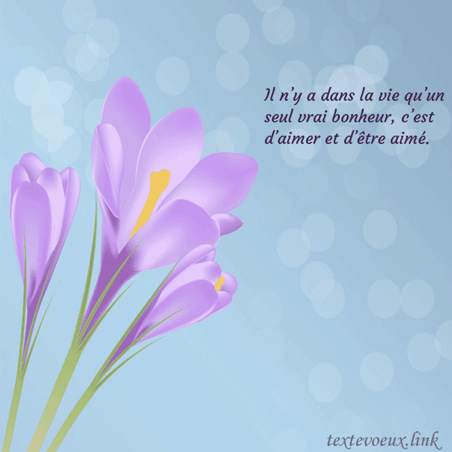 Cartes de vœux avec crocus