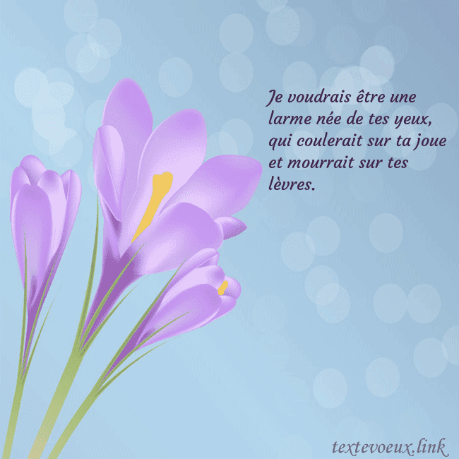 Cartes de vœux avec crocus