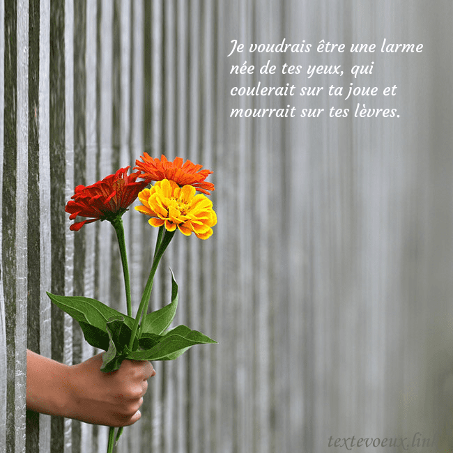 Carte électronique avec un bouquet de fleurs