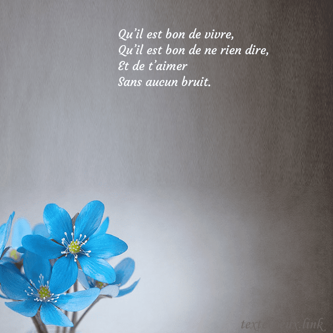 Carte postale avec violettes