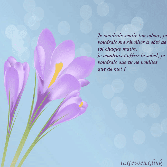 Cartes de vœux avec crocus Je voudrais sentir ton odeur, je voudrais me révei Cartes de vœux avec crocus