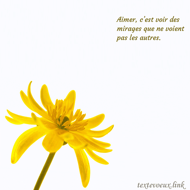 Carte de voeux avec fleur jaune