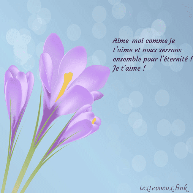 Cartes de vœux avec crocus