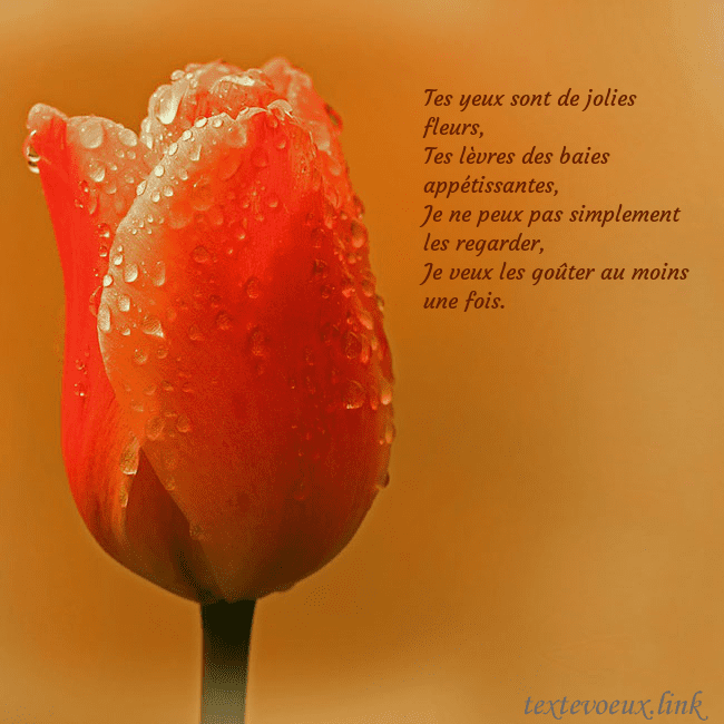 Carte de voeux avec tulipe rouge Tes yeux sont de jolies fleurs,
Tes lèvres des bai Carte de voeux avec tulipe rouge